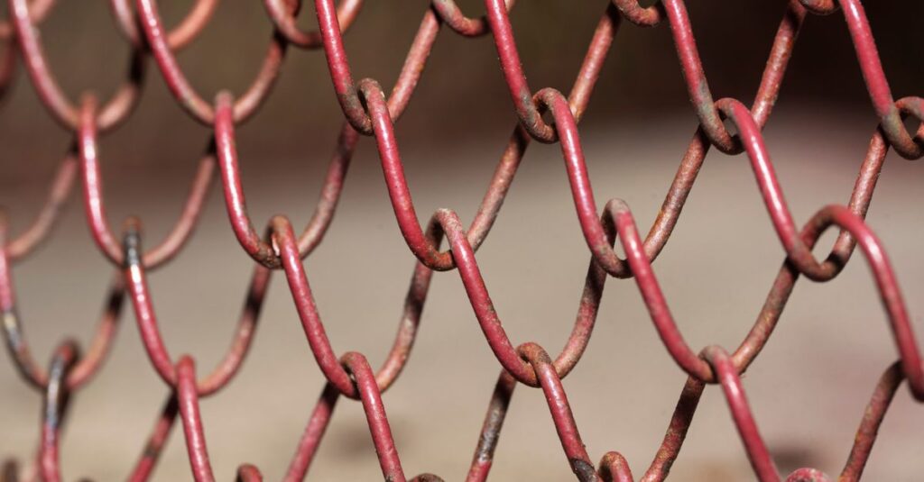 קישורים נכנסים (Backlinks): מדריך פרופיל בטוח
