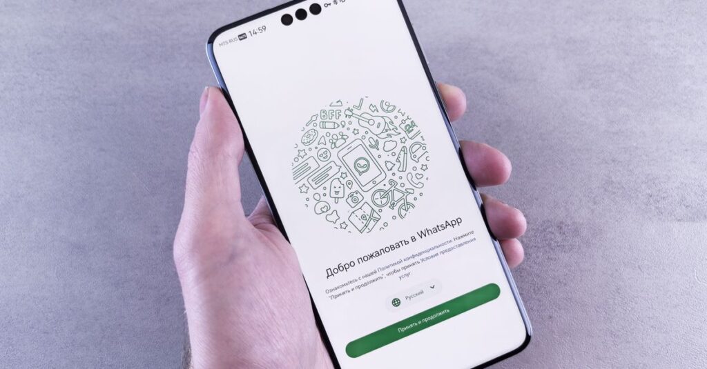 WhatsApp Business לעסקים: מדריך שיווק ומכירות מלא